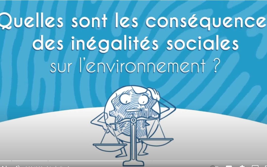 Conséquence des inégalités sociales sur l’environnement