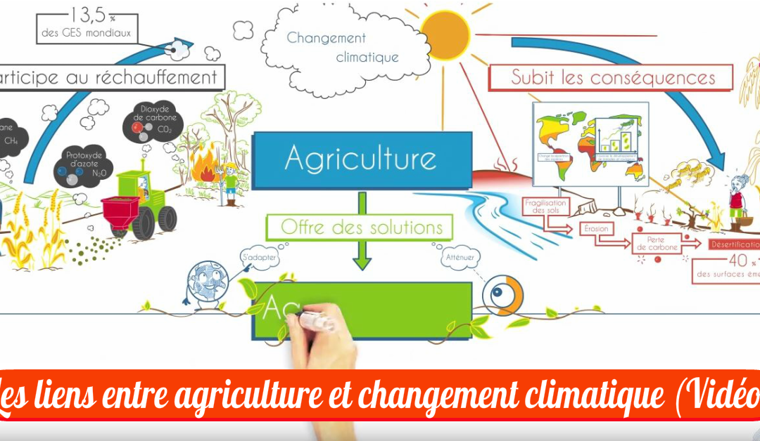 Deux minutes pour comprendre les liens entre agriculture et changement climatique