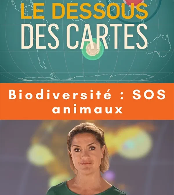 Biodiversité : SOS animaux