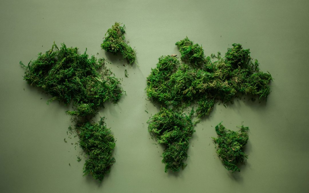 Quels sont les pays les plus verts du monde ?