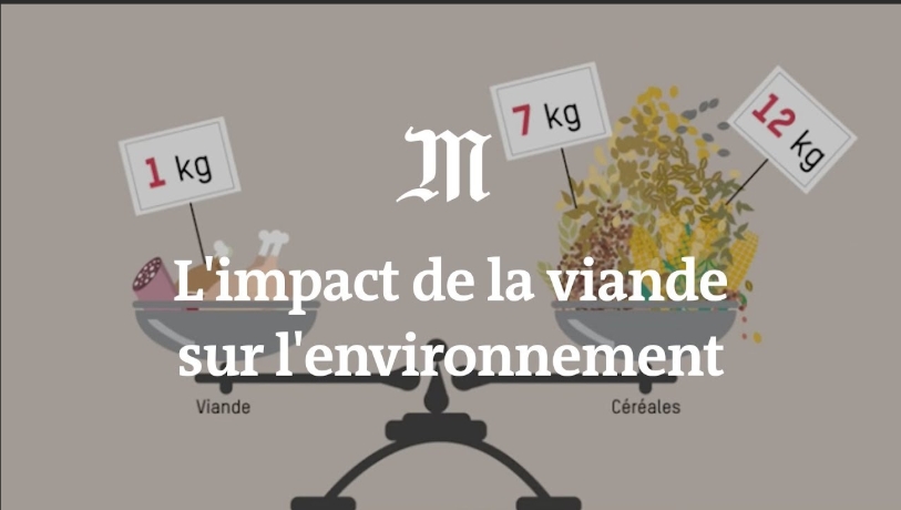 Quel est l’impact de la viande sur l’environnement ?